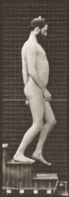 Plate 127 Descending stairs — figure reference